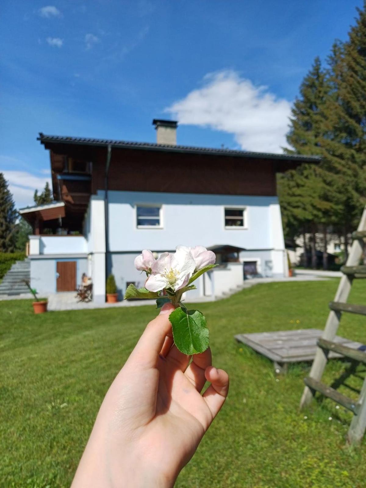 Appartements Am See Neukirchen am Großvenediger Esterno foto